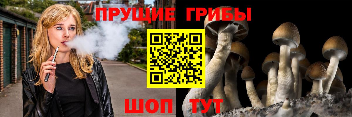 Нягань  Псилоцибиновые грибы Magic Shrooms  где продают   Вход с VPN 